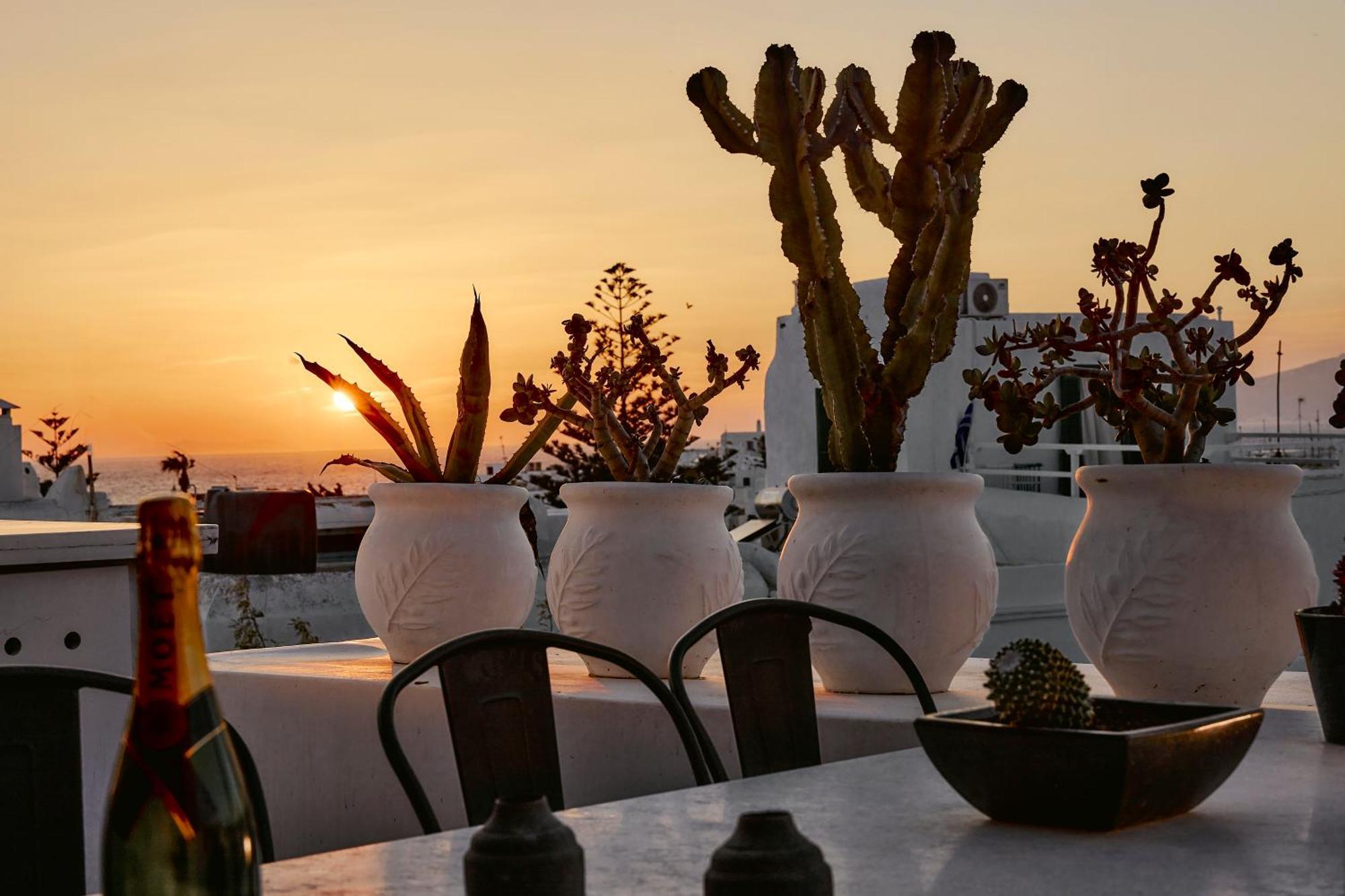 Elaia Luxury Suites Mykonos Mykonos Town Экстерьер фото
